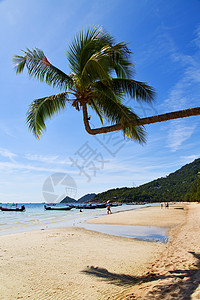 在 kho tao 湾海滩岩石船泰国图片