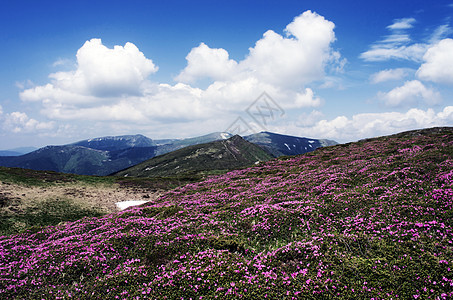 带彩虹的山高地风景喀尔巴阡 乌克拉气候天空蓝色自由植物群阳光土地日落首脑植物学图片