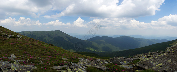 带彩虹的山高地风景喀尔巴阡 乌克拉阳光草地杜鹃花季节森林自由正方形土地日落植物群图片