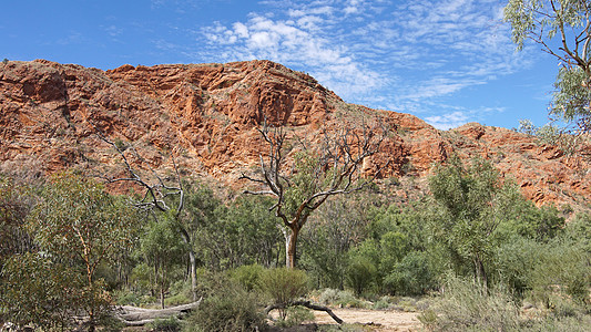 澳大利亚东麦克唐纳山脉景点旅行山脉风景领土峡谷旅游全景岩石远足图片