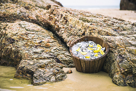 冰上的牡蛎美食拼盘海鲜海滩食物营养海洋岩石海景蓝色图片