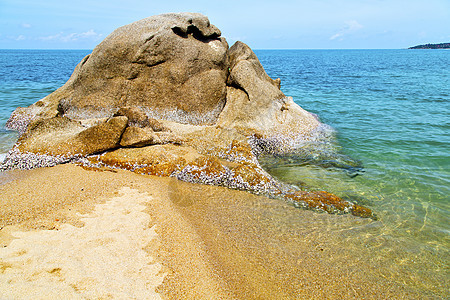 太平洋和南中华海的白色海滩礁石*图片