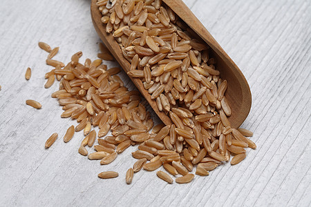 古老的谷物卡穆特 霍拉桑小麦 三季曲郁金食物硬质粮食肿胀营养食品图片