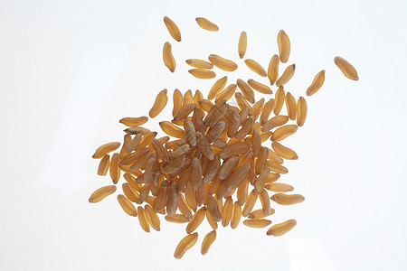 Khorassan小麦 Kamut 古老谷物的常数营养硬质食物肿胀粮食图片