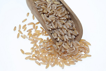 Khorassan小麦 Kamut 古老谷物的常数硬质食物肿胀营养粮食图片