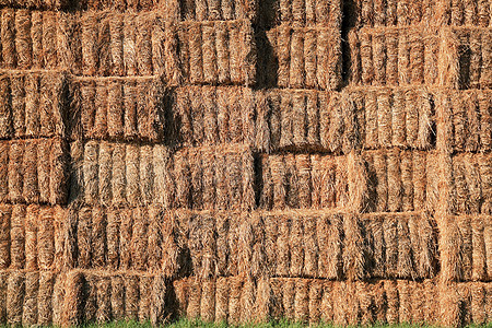 田里堆积的稻草麦田小麦粮食谷物稻草堆轴承方包收成秸秆场地图片