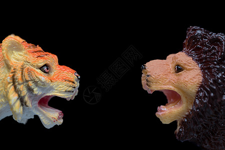 玩具狮子Versus玩具老虎组织图片