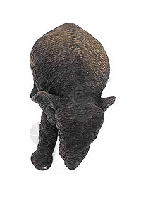 手工艺木大象装饰雕塑乌木动物古董纪念品木头荒野哺乳动物象牙图片