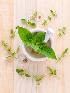 柠檬basil毛叶子和花朵的圆圈蔬菜草本植物生长烹饪食物美食香料花园芳香植物群图片