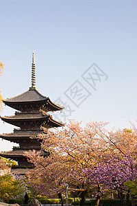 京都 日本秋冬寺旅行风景历史性树木地标照明季节宝塔樱花神道图片