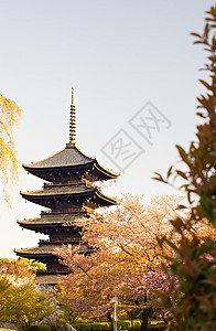 京都 日本秋冬寺季节神社风景树木宝塔地标旅行寺庙照明佛教徒图片