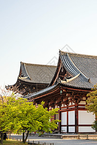 京都 日本秋冬寺树木樱花照明寺庙佛教徒历史性神道宝塔神社风景图片