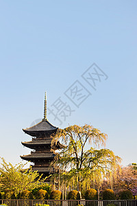 京都 日本秋冬寺历史性神社神道风景照明佛教徒季节地标樱花树木图片