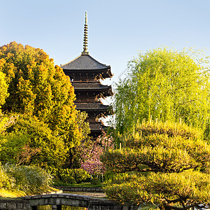 京都 日本秋冬寺风景宝塔宗教神社寺庙旅行神道佛教徒季节地标图片