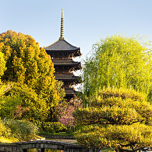 京都 日本秋冬寺风景宝塔宗教神社寺庙旅行神道佛教徒季节地标图片