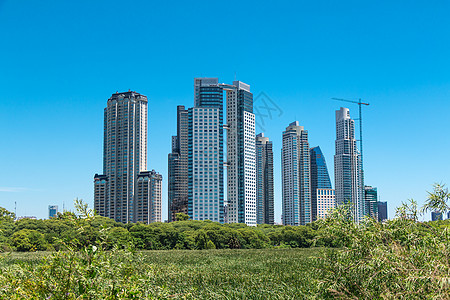 阿根廷布宜诺斯艾利斯历史性拉丁首都女子城市天际地标建筑学景观建筑图片