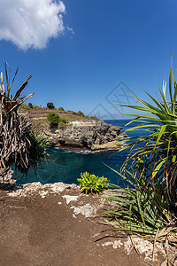 努沙佩尼达岛海岸线蝠鲼海滩晴天射线热带海洋蓝色旅行植物岩石图片