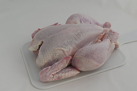 原生鸡鸡小鸡烹饪食物白色母鸡食谱图片