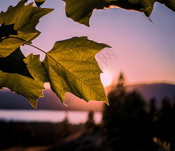 奥卡纳根湖日落图片