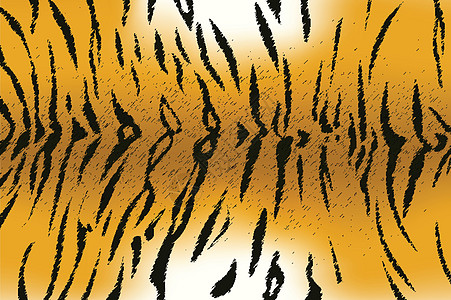 Bengal 老虎条纹图案荒野墙纸皮革哺乳动物打印动物橙子装饰黑色插图图片