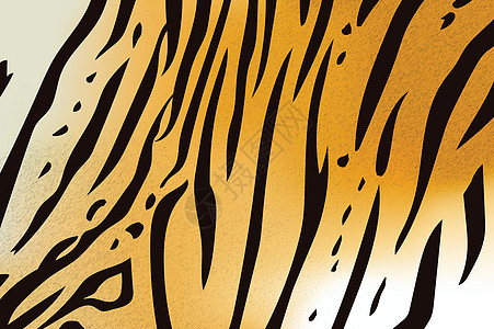 Bengal 老虎条纹图案动物艺术皮革插图黑色毛皮装饰风格野生动物斑马图片