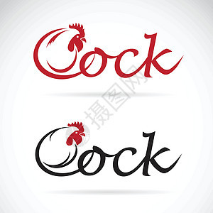 矢量设计公鸡是白色背景的文字家禽插图动物海报标签小鸡雕刻羽毛女性食物图片