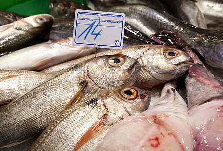 各种冰上新鲜鱼店铺展示钓鱼零售动物食物标签盐水摊位海鲜图片