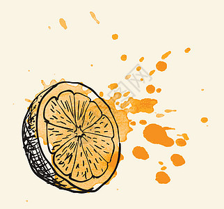 橙色用手画的古董插图水粉食物艺术白色橙子果汁热带艺术品水彩绘画图片