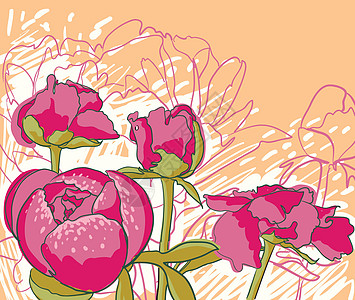 皮花花插图植物学正方形装饰花朵绘画花店织物花园介子图片