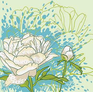 皮花花花朵花园草图织物植物学绘画叶子问候语插图植物图片