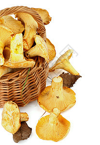 原钱特拉橙子生食蔬菜棕色黄色蘑菇柳条金子宏观绿色图片