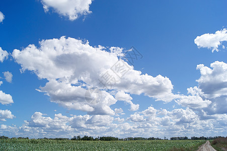 夏日乌云阳光气候风景天气空气晴天水分白色蓝色多云图片