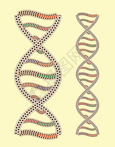 矢量DNA作为希腊装饰品(经快速编辑后无缝)图片