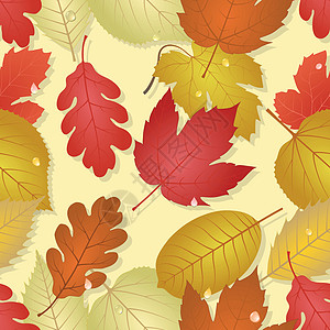秋叶  无缝彩色方形图片