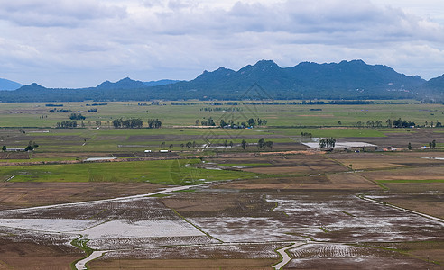 湄公河三角洲稻田的空中观察场景全景叶子住房村庄天空乡村城市农家风景图片