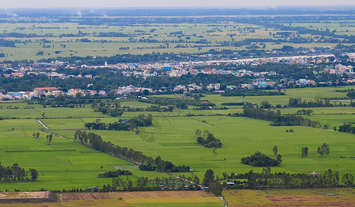 湄公河三角洲稻田的空中观察文化叶子滚动天空农场城市村庄土地建筑农家图片