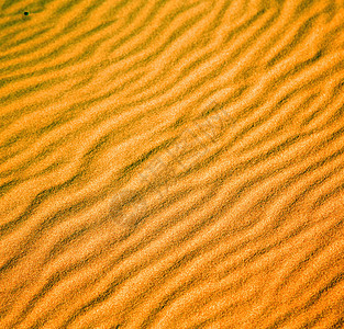 非洲萨哈拉莫罗科沙漠线上的棕色沙丘圆顶屏幕土地阴影海浪沙漠墙纸阳光孤独日光图片