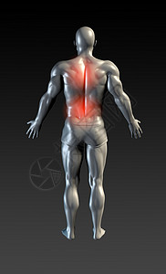 脊椎伤害解剖学疼痛医疗椎骨扫描保健收藏x射线辉光医院图片