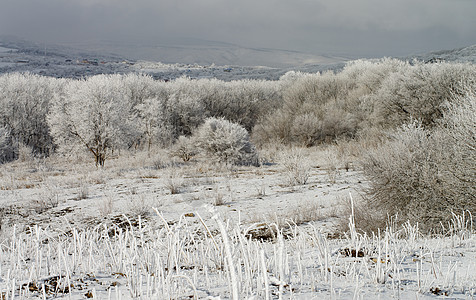 冬季风景雪堆高山草地天气下雪植物风光山脉蓝色阴影图片