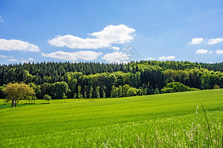 农村景观国家场地天空季节牧场爬坡阳光植物草原草地图片