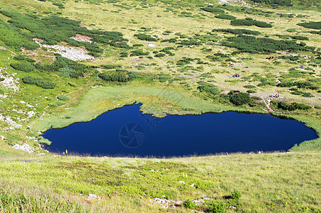 乌克兰喀尔巴阡山脉的内萨莫维特高地湖图片