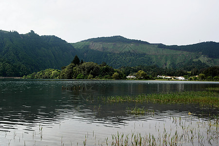 葡萄牙圣米格尔植物草地灌木丛森林风景山脉丘陵树木群岛火山口图片