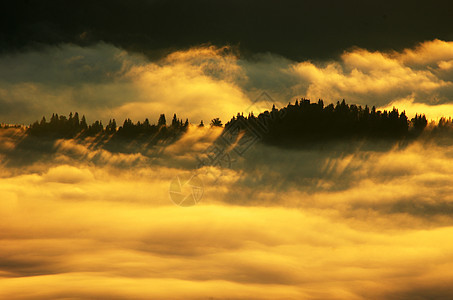 有浓雾的惊人山地景观 喀尔巴阡山脉公园季节森林生态阴霾全景薄雾天气环境美丽图片
