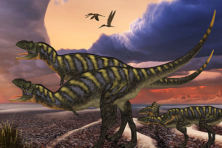 Aucasaruus 恐龙图片