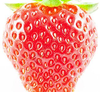 真实草莓水果甜点宏观花园自然营养叶子绿色浆果白色图片