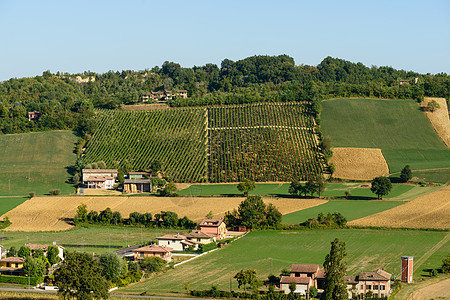 Piacenza 葡萄园视图爬坡藤蔓丘陵建筑学建筑村庄饮料生物天空旅行图片