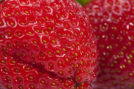 红色草莓背景 特写图片