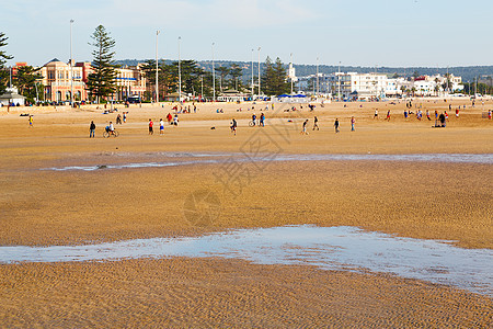 非洲和鸟儿在海洋中的抽象植物热带支撑天空墙纸海滩海浪海岸线反射蓝色图片