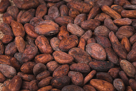 生可可或可可豆烹饪农业维生素饮食味道种子巧克力宏观食物热带图片