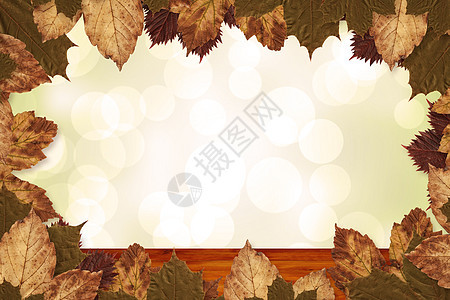 秋叶的复合图像图案木头金子橙子棕色红色剥离计算机树叶绿色绘图图片
